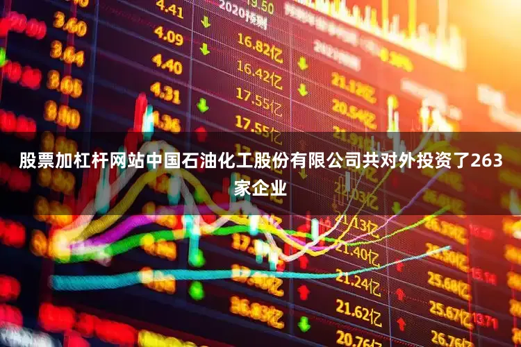 股票加杠杆网站中国石油化工股份有限公司共对外投资了263家企业