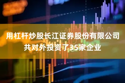 用杠杆炒股长江证券股份有限公司共对外投资了35家企业